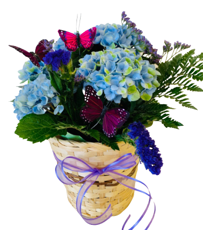 bluefantasyarrangement